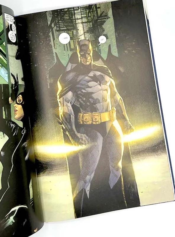 Detail aus Batman/Catwoman 4 part 2